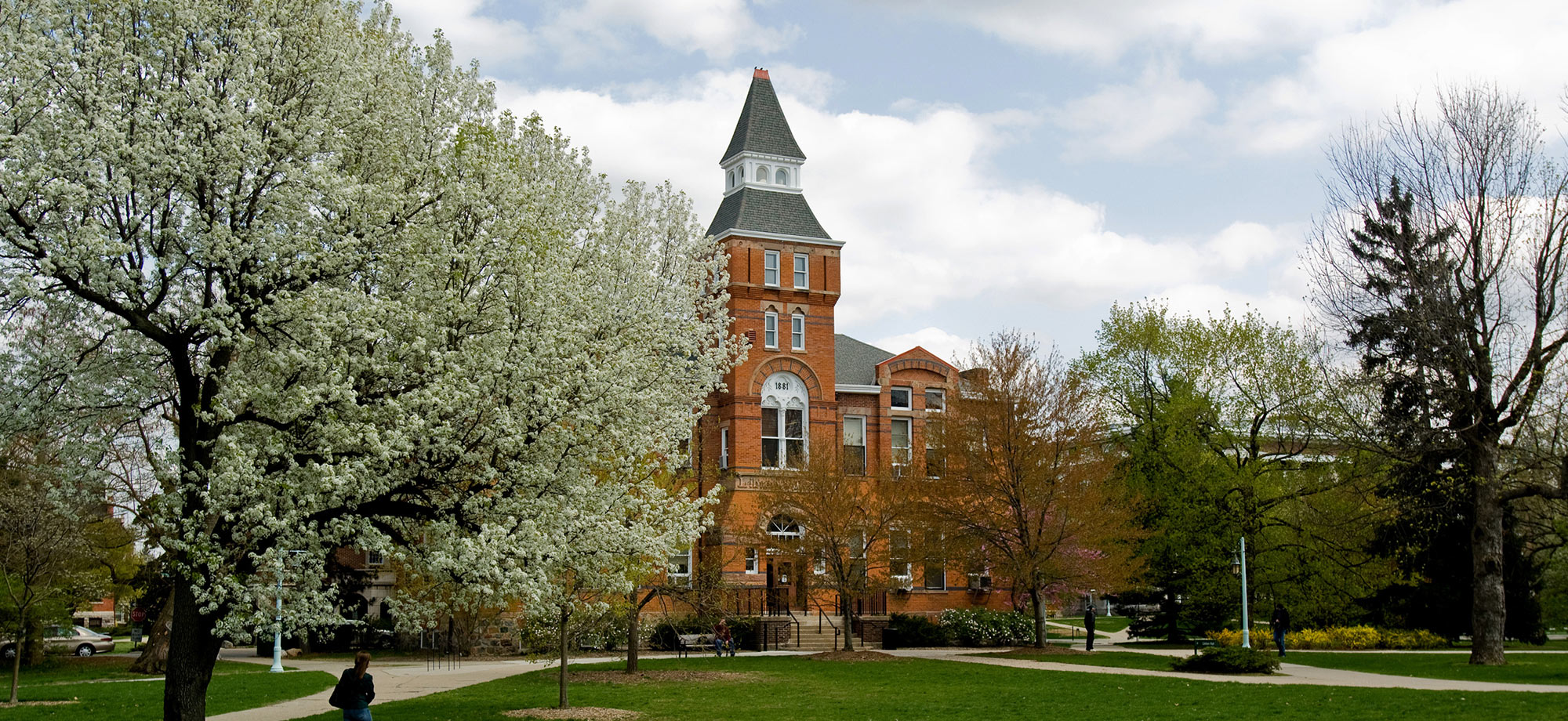 WordPress Website Migration